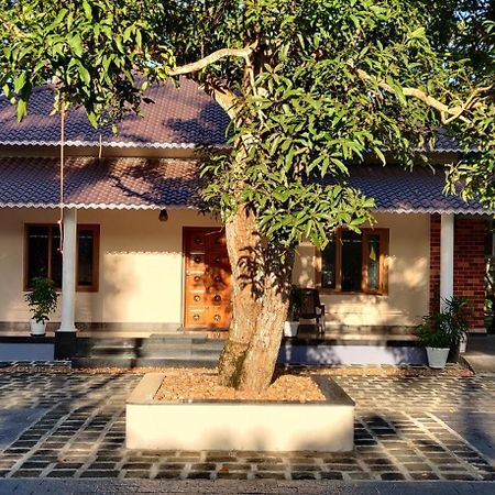 Angel Homestay Paravoor Alappuzha المظهر الخارجي الصورة